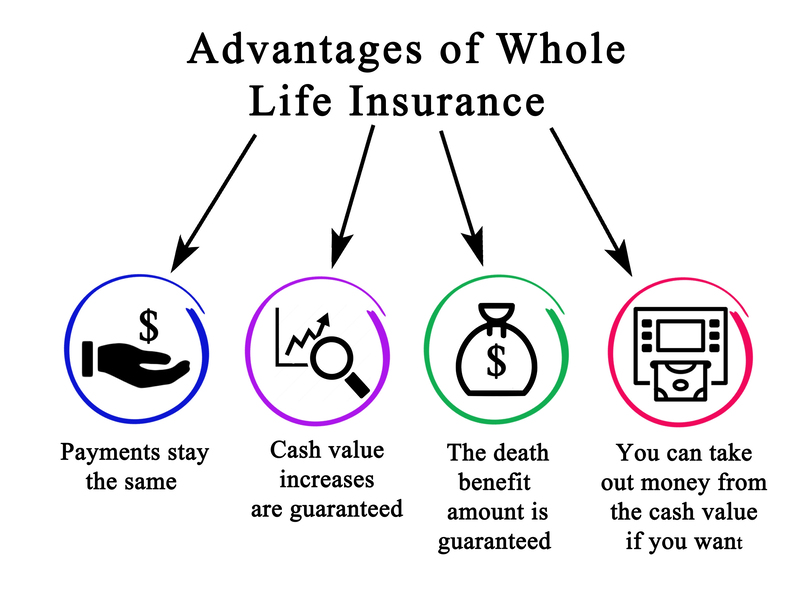 Alpharetta Life Insurance Experts business image in Alpharetta, Georgia
